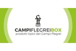 Campi Flegrei Box