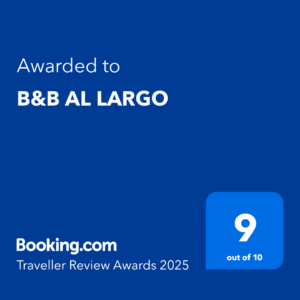 Booking Traveller review 2025